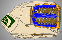 ウェブ画像Ｗ-３