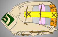 ウェブ画像Ｗ-１５
