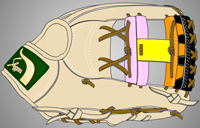 ウェブ画像Ｗ-２９
